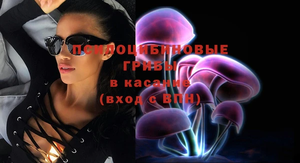 индика Алзамай