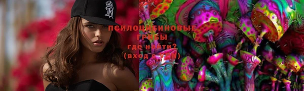 мдпв Приозерск
