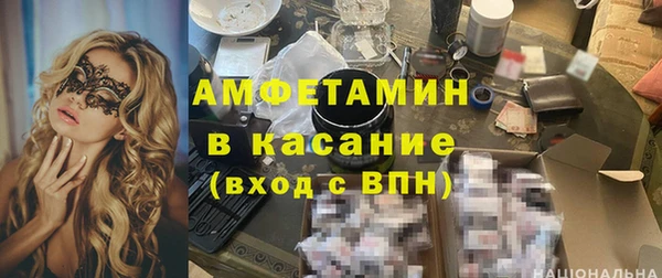 индика Алзамай
