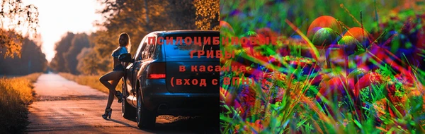 a pvp Алексин