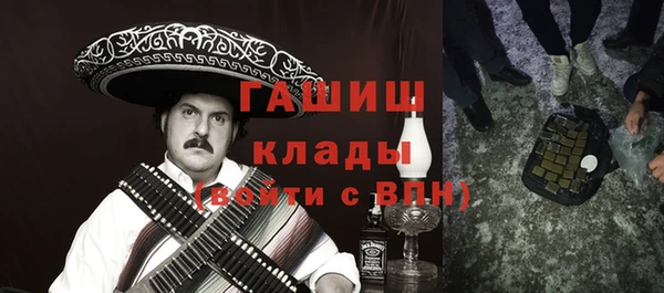 индика Алзамай