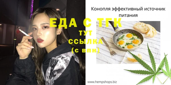 индика Алзамай